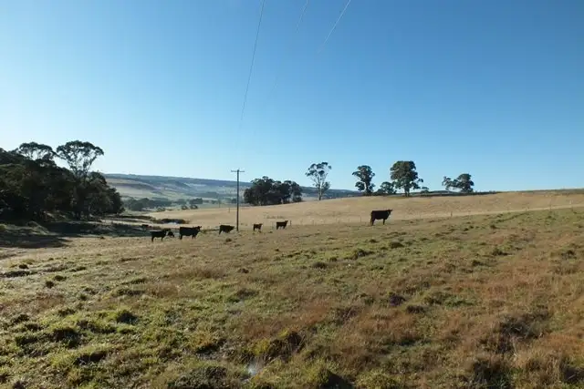 Fifth view of Homely rural property listing, 1881 Edith Road, Oberon NSW 2787