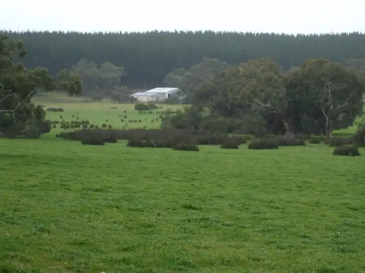 Third view of Homely rural property listing, 499 Bin Bin, Keilira SA 5275
