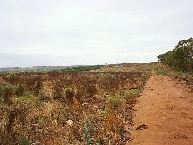 Second view of Homely land listing, Lot 296 Woodlane Drive, Mypolonga SA 5254