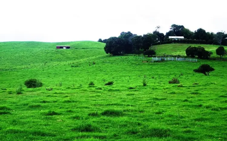 Fifth view of Homely rural property listing, 487 Rocky Creek Road, Dorrigo NSW 2453