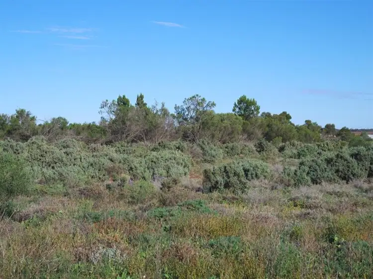 Lot 67 Swan Street, Renmark SA 5341