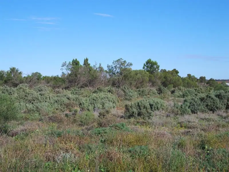 Main view of Homely land listing, Lot 67 Swan Street, Renmark SA 5341