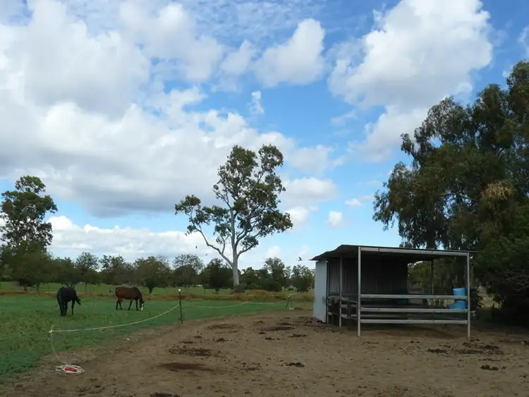 Seventh view of Homely rural property listing, Lot 3 Gwydirfield Road, Moree NSW 2400