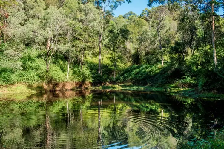 Seventh view of Homely rural property listing, 79 Spicer Crescent, Mount Mee QLD 4521
