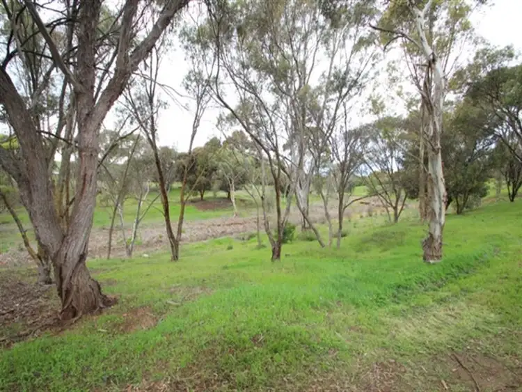 Fifth view of Homely land listing, Lots 4 and 5 Lower Thames Street, Burra SA 5417