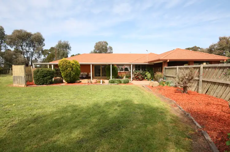 53 Pascoe Street, Rochester VIC 3561