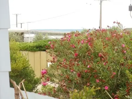 19 Hosking Road, Tiddy Widdy Beach SA 5571