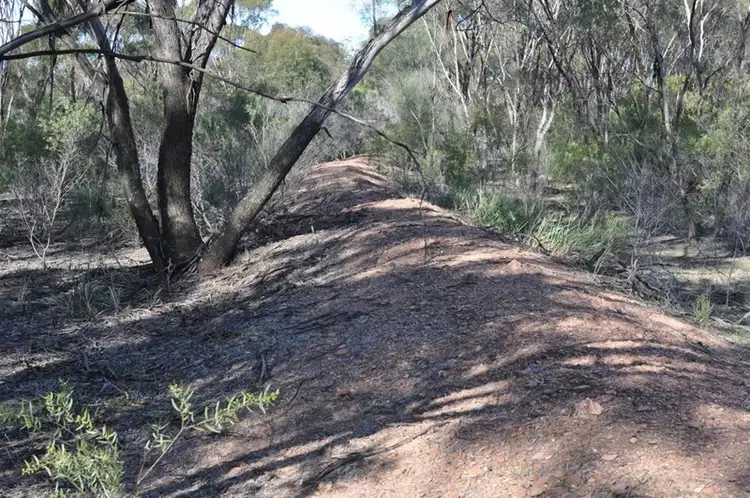 Sixth view of Homely rural property listing, 511 Gap Road, Pullabooka NSW 2810