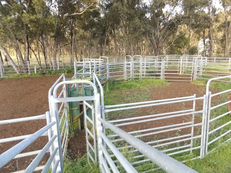 Third view of Homely rural property listing, 0 Strathbogie Road, Glen Innes NSW 2370