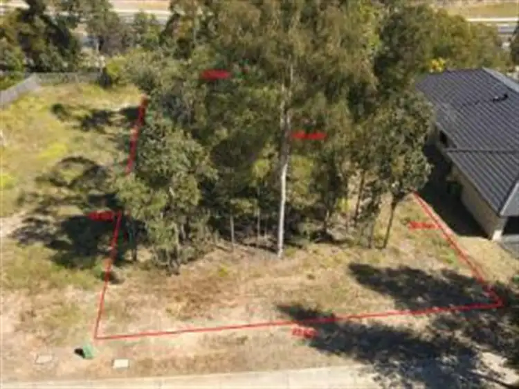 11 Waterhousia Crescent, Brookwater QLD 4300