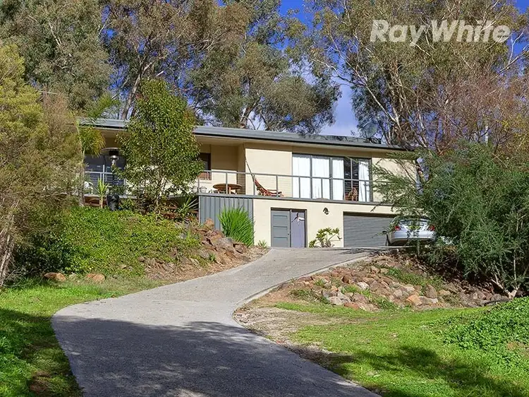 849 Miller Street, Albury NSW 2640