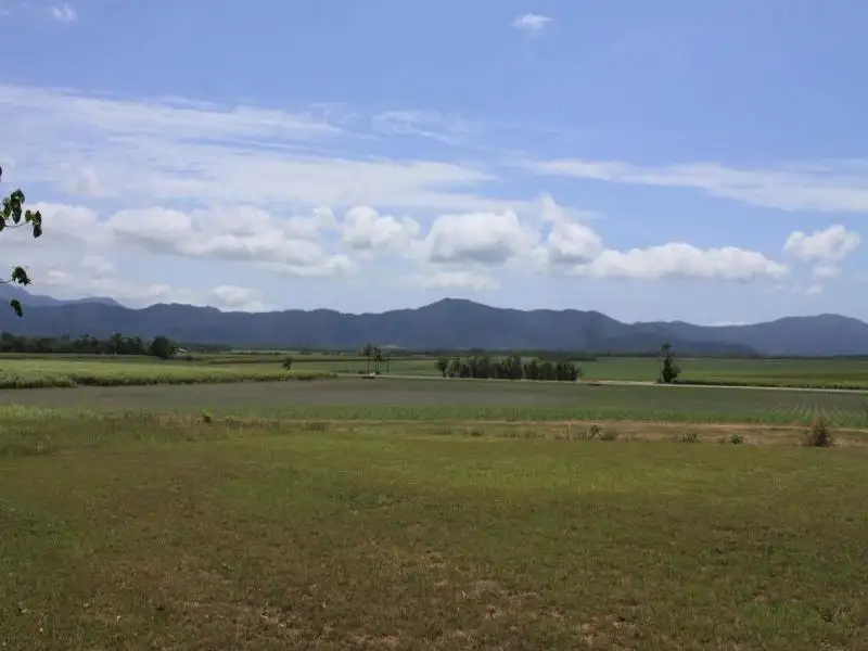 Main view of Homely land listing, Lot 1 Dagmar Close, Lower Daintree QLD 4873