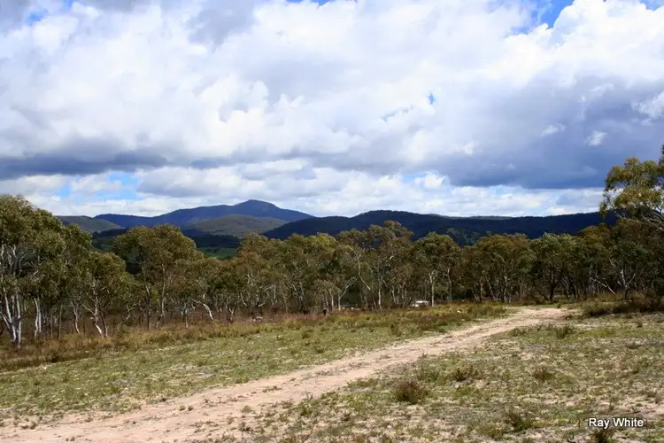 41 Tee Tree Road, Braidwood NSW 2622