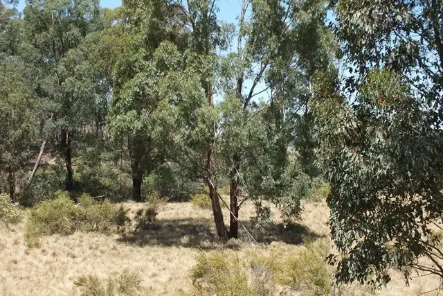 Seventh view of Homely rural property listing, 1504 Bald Ridge, Burraga NSW 2795