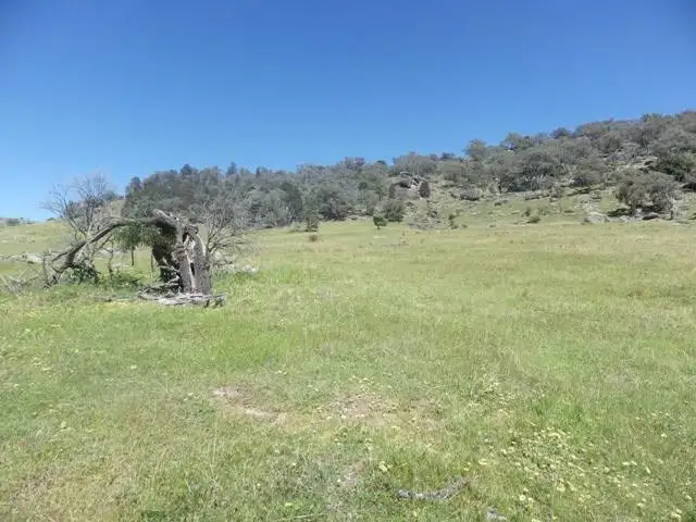 Third view of Homely rural property listing, Lots 156 and 157 Tarrants Gap Road, Wyangala NSW 2808