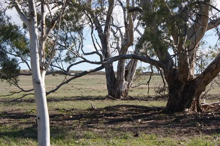 Seventh view of Homely rural property listing, LOT 66 Strawberry North East Road, Mingenew WA 6522