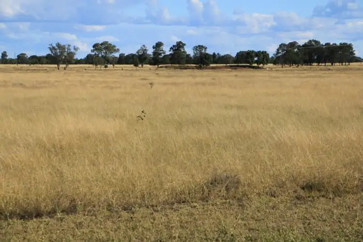 Third view of Homely rural property listing, 0 Tipperary, Roma QLD 4455