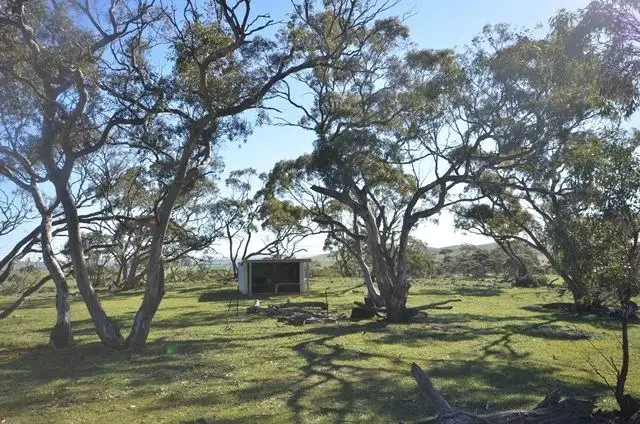 Seventh view of Homely rural property listing, "Kellys" Cattle Station Road, Mount Bryan SA 5418