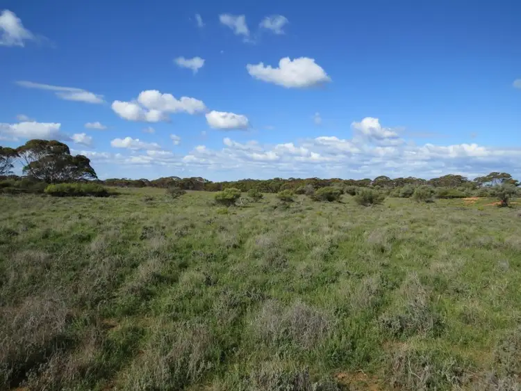 Fourth view of Homely rural property listing, "John's" Stock Route Road, Sutherlands SA 5374