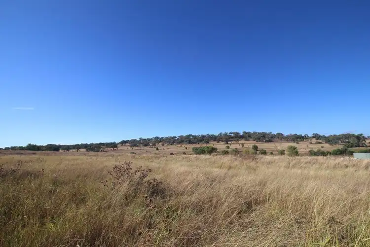 Fourth view of Homely rural property listing, Lot 11 Morrison Road, Scrubby Mountain QLD 4356