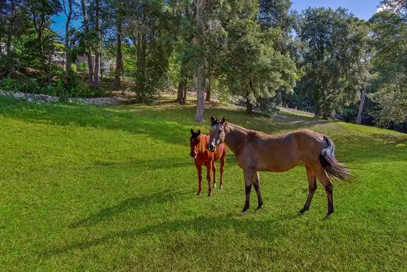 Main view of Homely rural property listing, 1302 Bells Line of Road, Kurrajong Heights NSW 2758