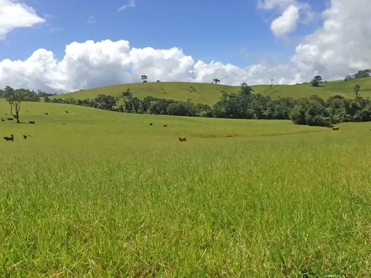 Seventh view of Homely rural property listing, Address available on request