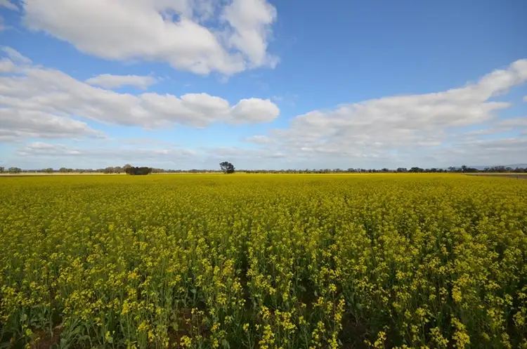 Fifth view of Homely rural property listing, Coates Road, Natte Yallock VIC 3465
