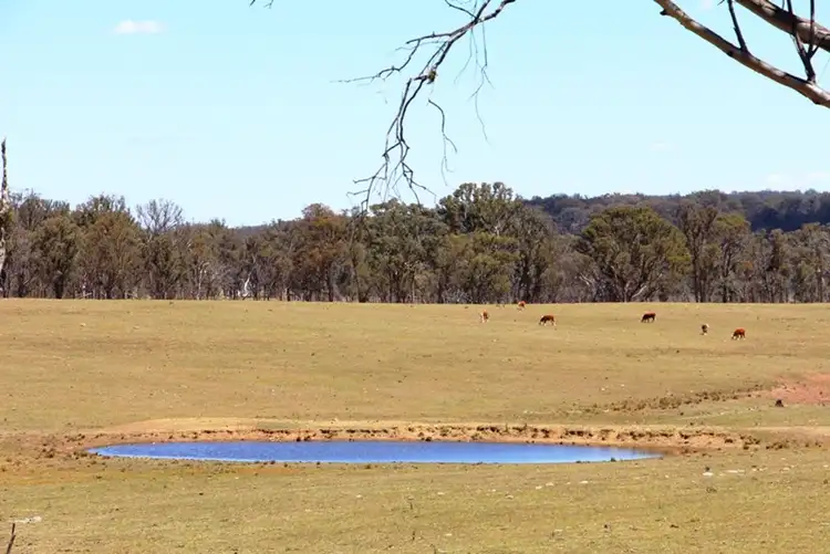 Seventh view of Homely rural property listing, 1436 "Apple Tree" Rockvale Road, Armidale NSW 2350