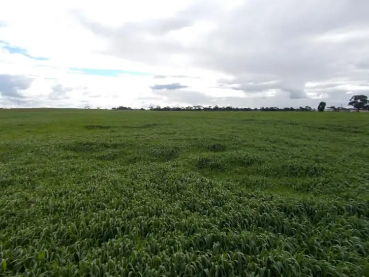 Third view of Homely rural property listing, 433 Golf Course Road, Bordertown SA 5268