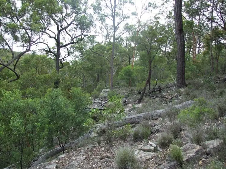 Sixth view of Homely rural property listing, 6065 New England Highway, Crows Nest QLD 4355