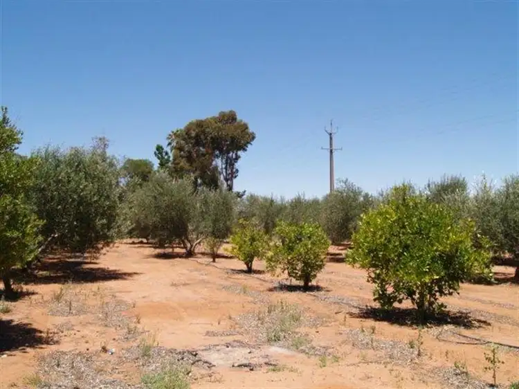 Third view of Homely house listing, 184 Hill Road, Waikerie SA 5330