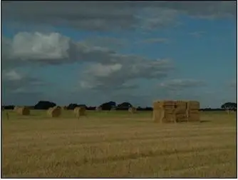 Third view of Homely rural property listing, 58 Curnow Road, Bordertown SA 5268