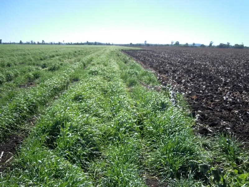 Main view of Homely rural property listing, 0 Leyburn Millmerran Road, Millmerran QLD 4357