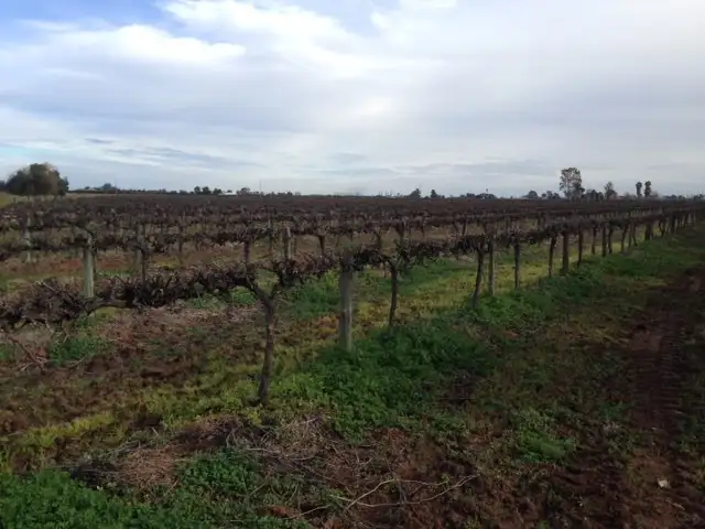 Main view of Homely rural property listing, Farm 450 Morely Road, Yoogali NSW 2680