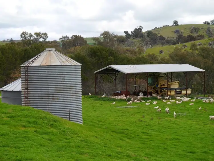 Seventh view of Homely rural property listing, "Kember" 372 Rockall Road, Cowra NSW 2794