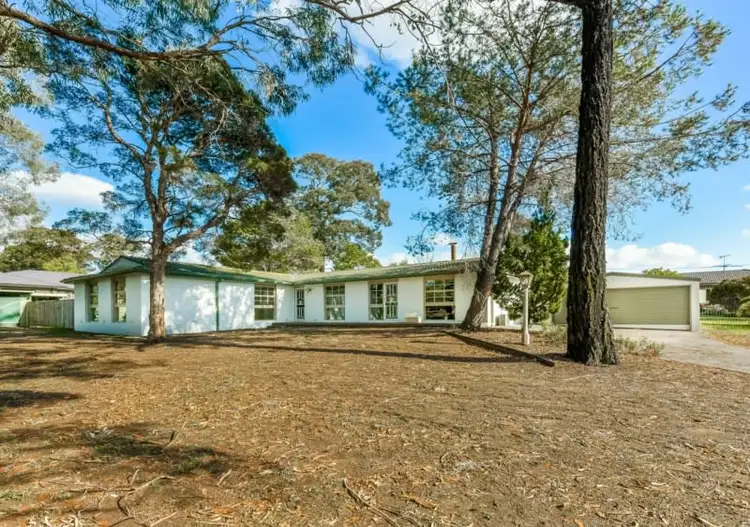 Main view of Homely house listing, 49 Castlereagh Street, Tahmoor NSW 2573