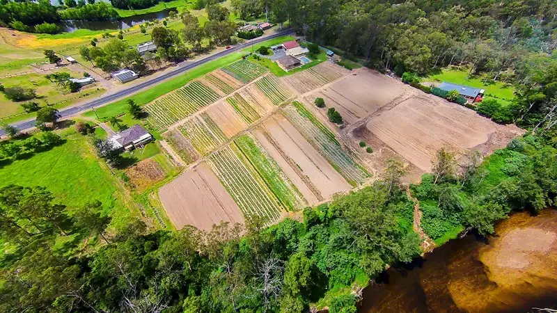 Main view of Homely rural property listing, 232 Springwood Road, Yarramundi NSW 2753