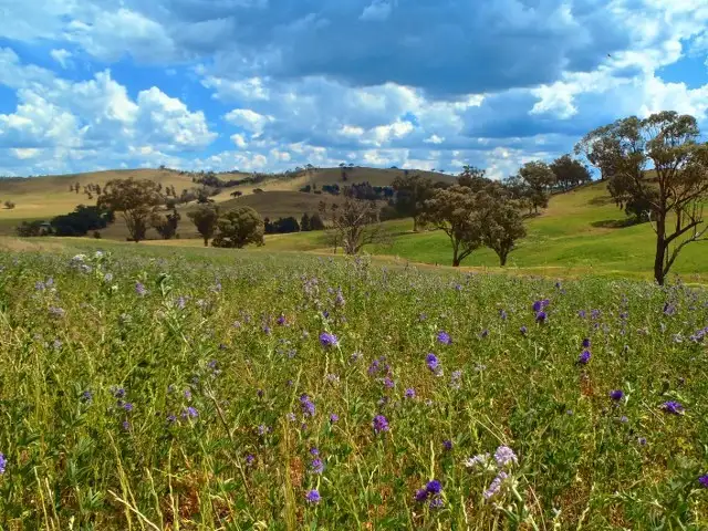 Main view of Homely rural property listing, Address available on request