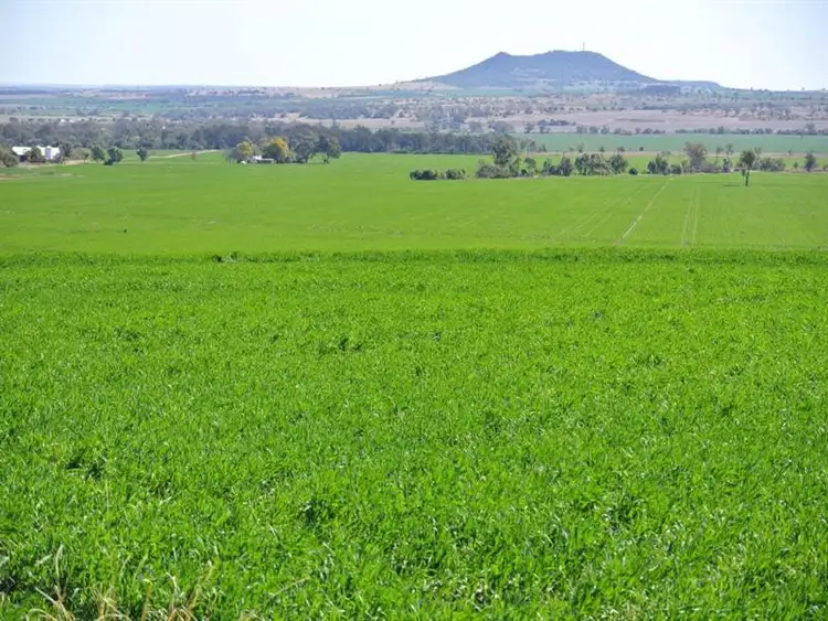 Couradda North Couradda Road, Narrabri NSW 2390