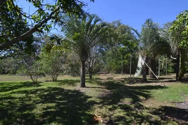 Seventh view of Homely rural property listing, 99 Barmaryee Road, Barmaryee QLD 4703