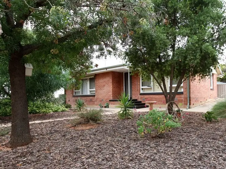Main view of Homely house listing, 8 Tipper Street, Berri SA 5343