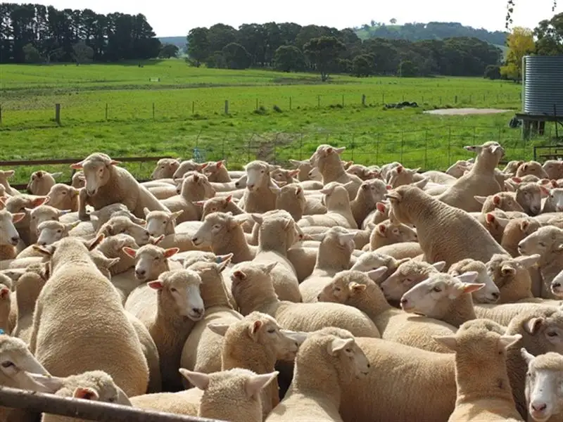 Main view of Homely rural property listing, 179 Jerula Road, Oberon NSW 2787