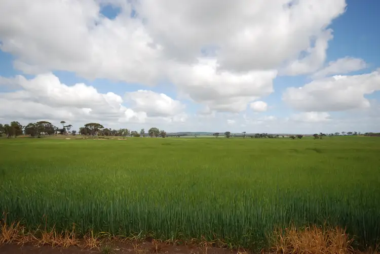 Fourth view of Homely house listing, 2336 Wagin Dumbleyung Road, Dumbleyung WA 6350