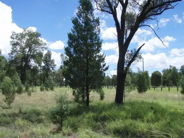 Seventh view of Homely land listing, 17 Banjarra Drive, Charleville QLD 4470