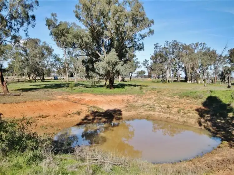 Seventh view of Homely house listing, 4244 Bribbaree Road, Bribbaree NSW 2594