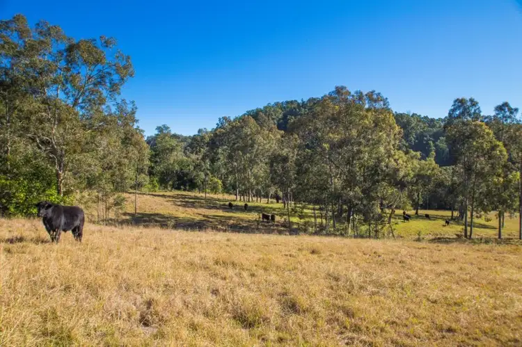 Sixth view of Homely rural property listing, 1401 Dungog Road, Wallarobba NSW 2420