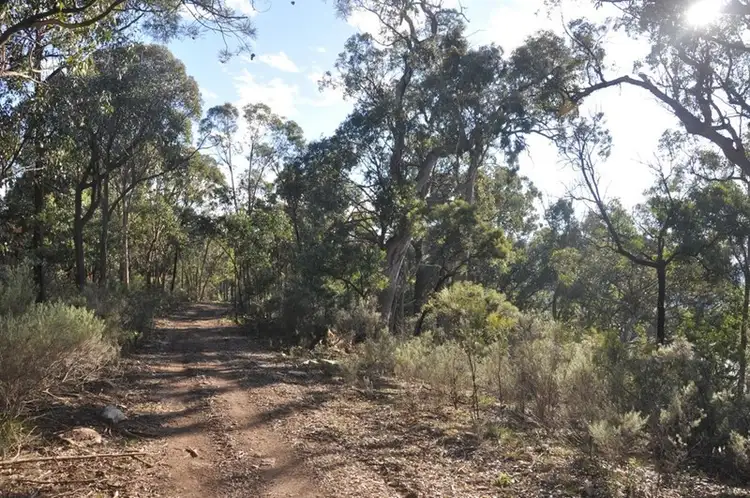Sixth view of Homely rural property listing, 1810 Tugalong Road, Canyonleigh NSW 2577
