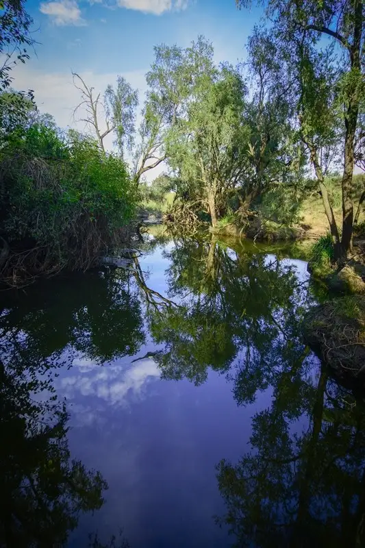 Seventh view of Homely rural property listing, 200 G Hines Road, Mutdapilly QLD 4307