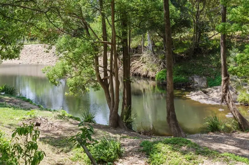 Main view of Homely rural property listing, 557 Tallebudgera Creek Road, Tallebudgera Valley QLD 4228