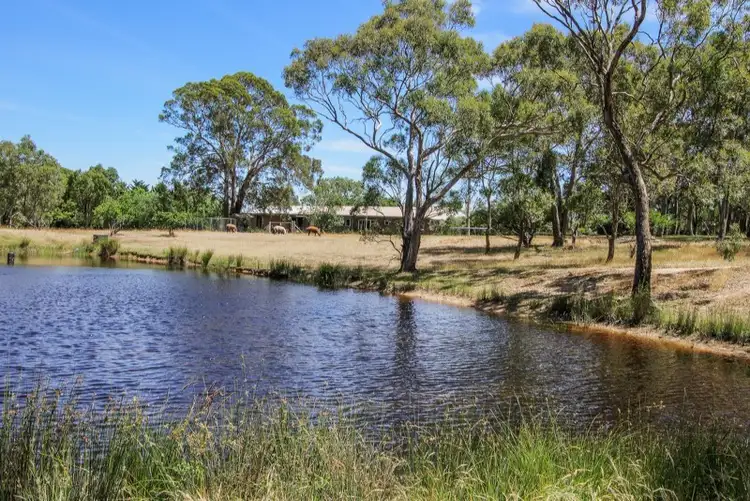 Main view of Homely rural property listing, 93 School House Lane, Goulburn NSW 2580